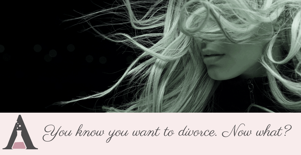 You know you want to divorce. Now what?